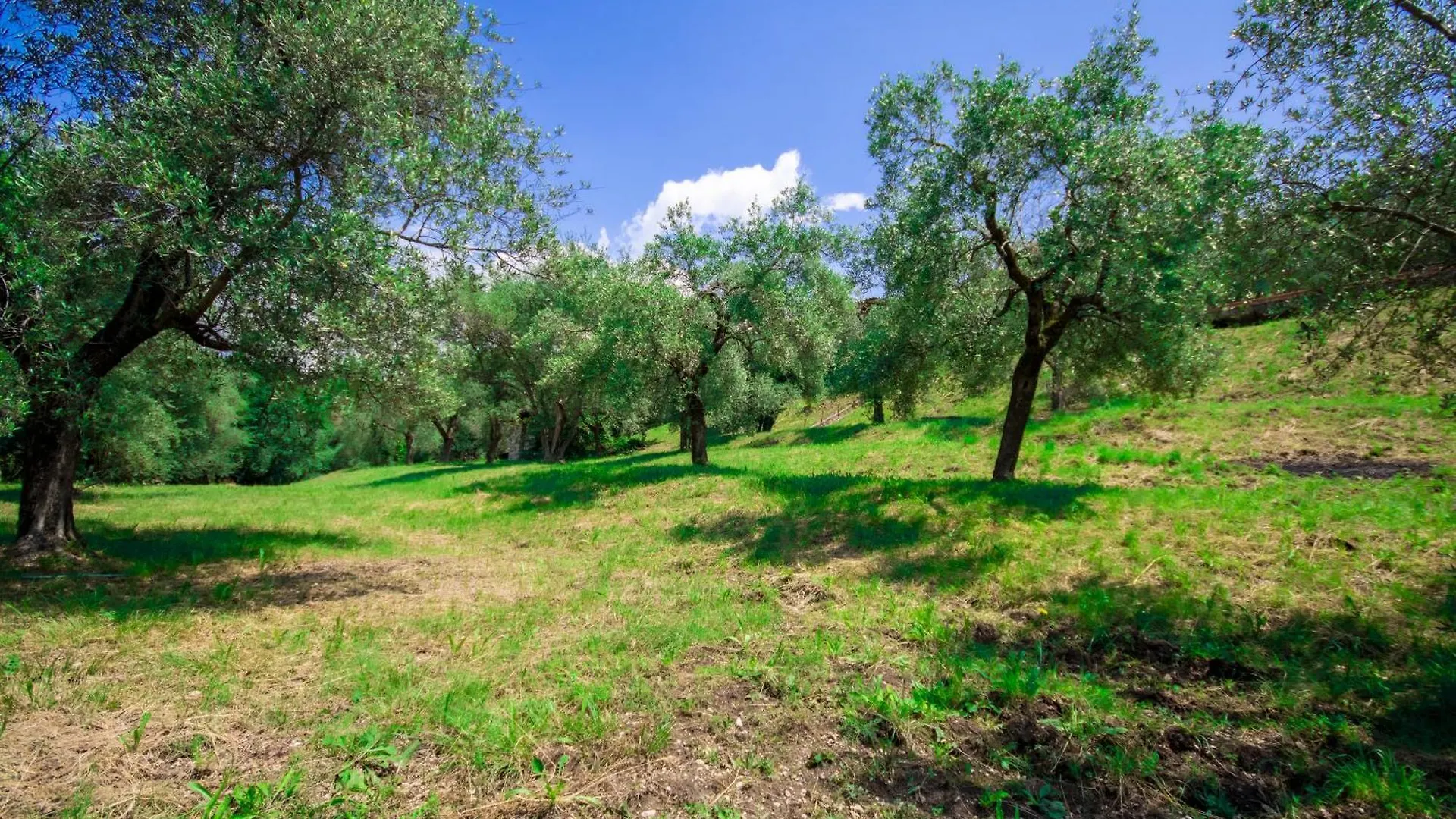 Villa Uliveta Torri Del Benaco Italy