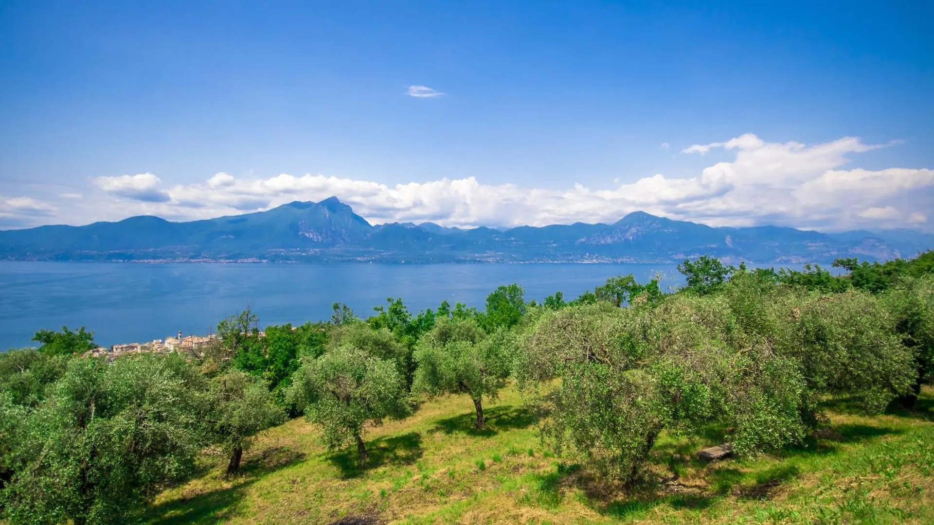Villa Uliveta Torri Del Benaco