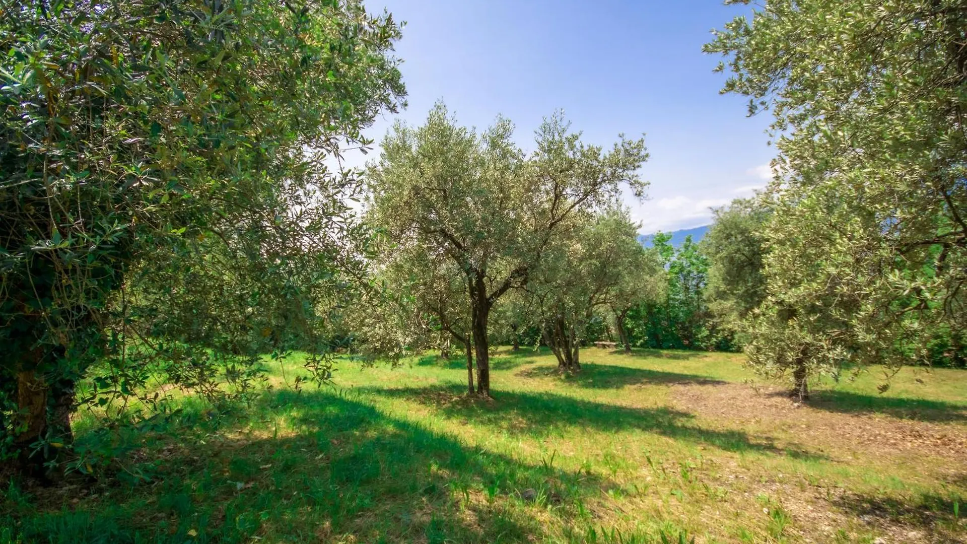 Villa Uliveta Torri Del Benaco