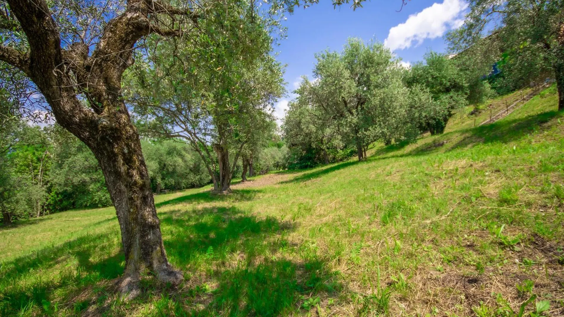 Villa Uliveta Torri Del Benaco
